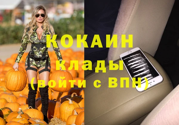 сатива Волосово