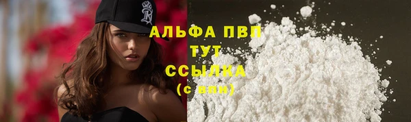 сатива Волосово