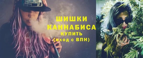 сатива Волосово