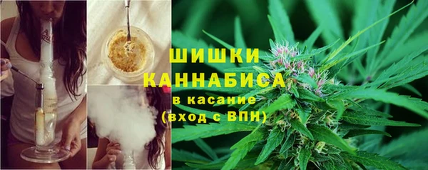 сатива Волосово
