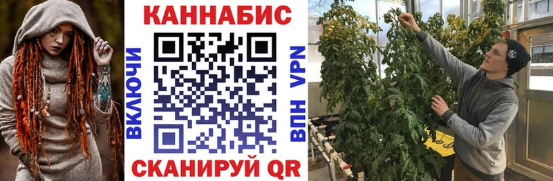 Шишки марихуана MAZAR  Купить где  Фролово 